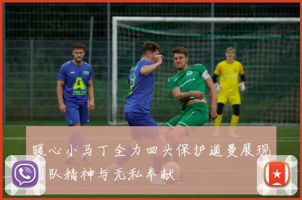 暖心小马丁全力回头保护道曼展现团队精神与无私奉献
