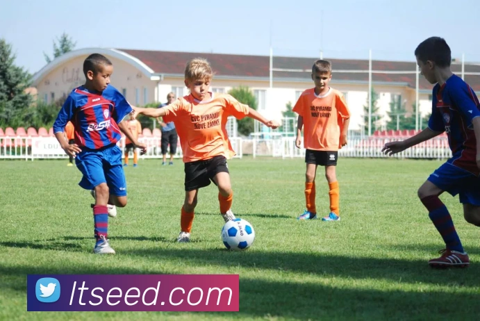 多媒体互动体验